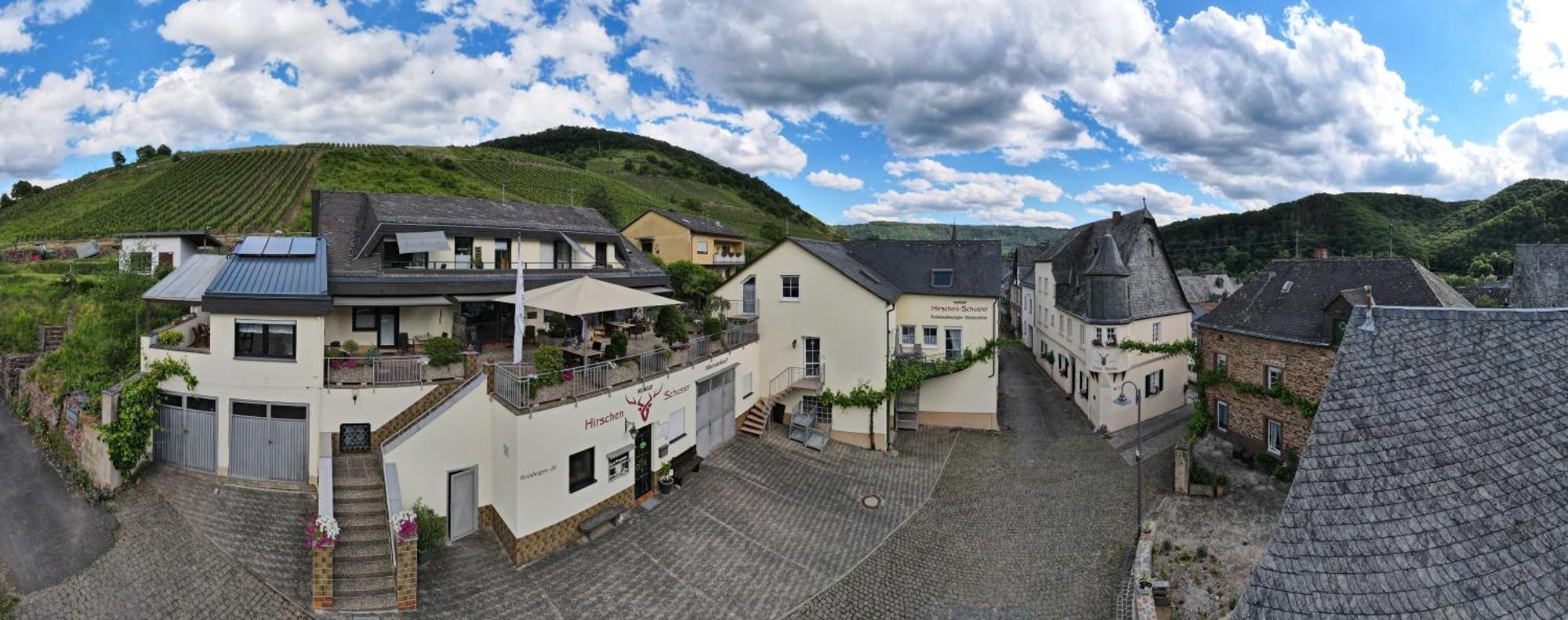 Hirschen-Schuster Apartman Mesenich Kültér fotó