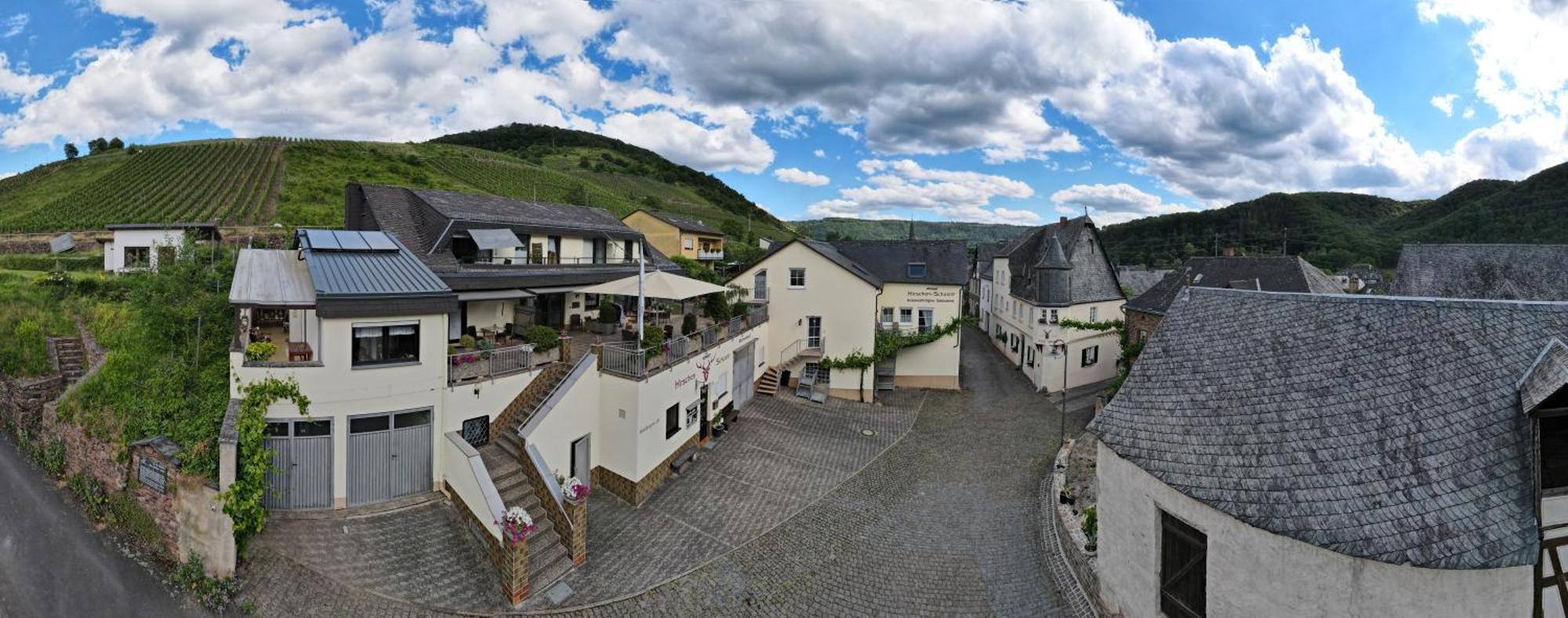 Hirschen-Schuster Apartman Mesenich Kültér fotó