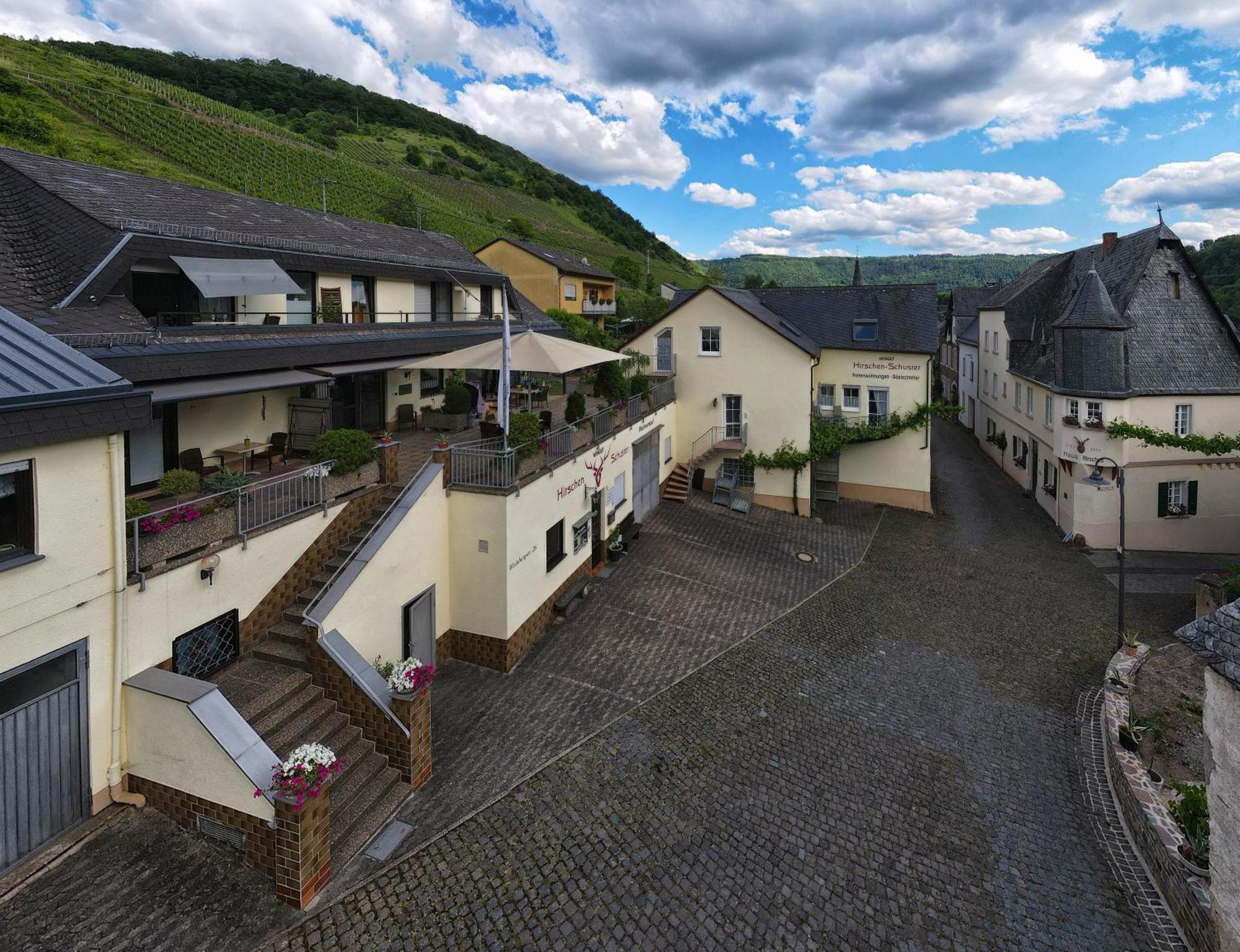 Hirschen-Schuster Apartman Mesenich Kültér fotó